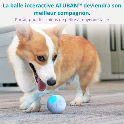 Balle interactive Atuban